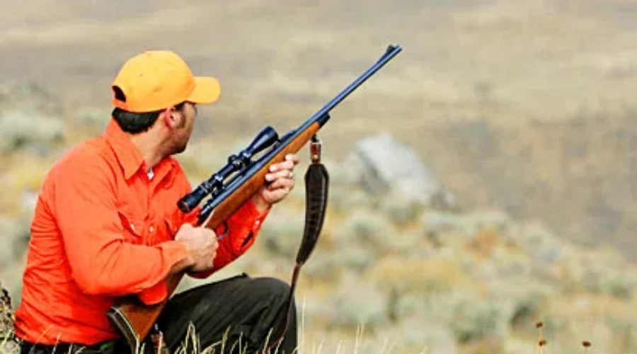 Moose Hunting License Lottery Is Open