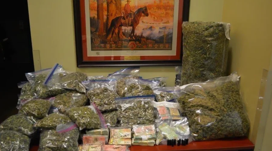 RCMP Dismantle Large Scale Drug Operation in Martin’s River