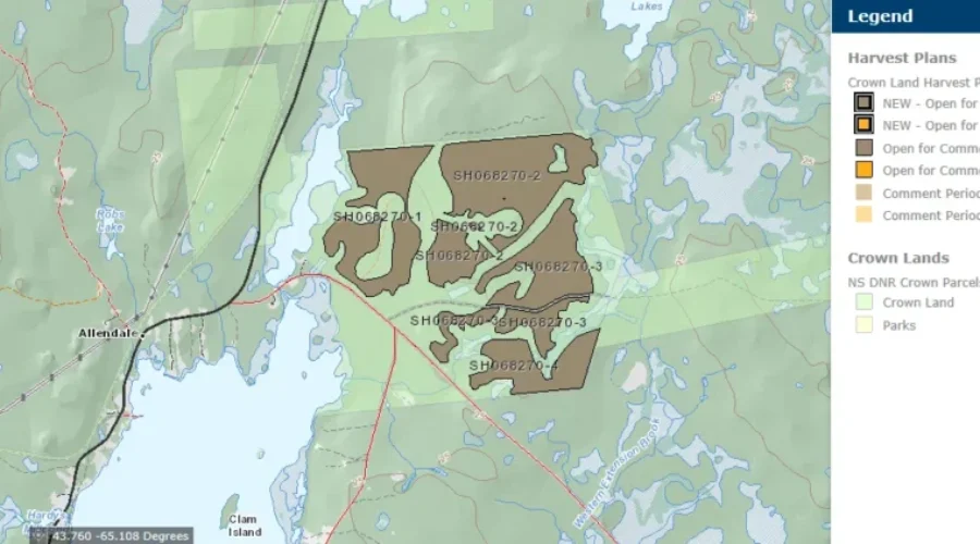 Clear Cutting Proposal Has Shelburne County Woman Worried