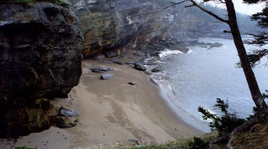Take A (Virtual) Hike