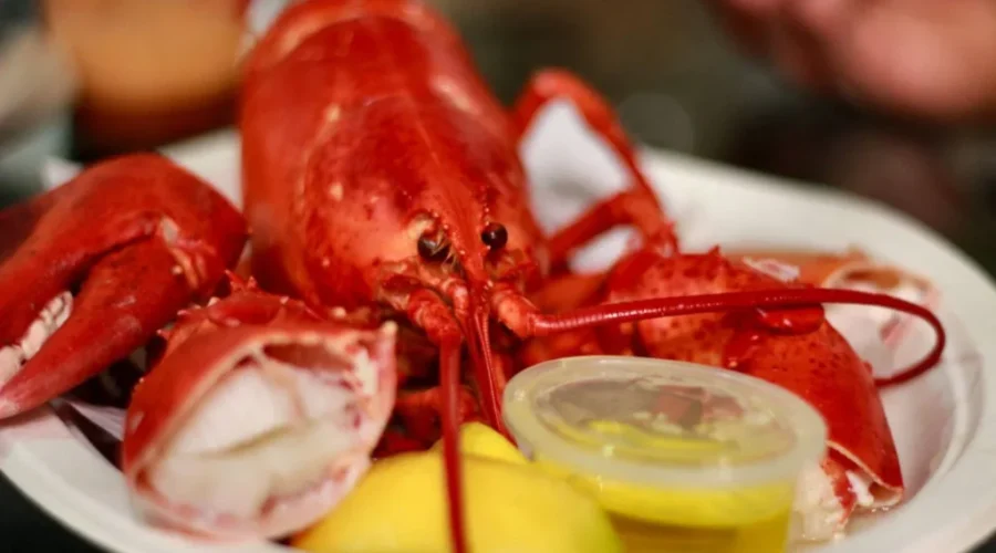 31st Annual Shelburne County Lobster Festival “Huge Success”