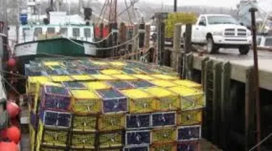Lobster Fishermen Don’t Want ‘Big Brother Watching Over Them