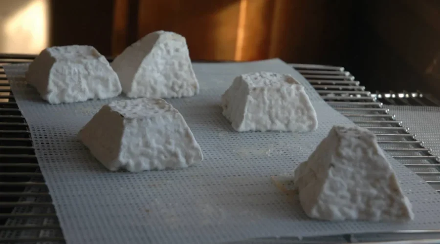Mahone Bay Farm Gets Cheesy