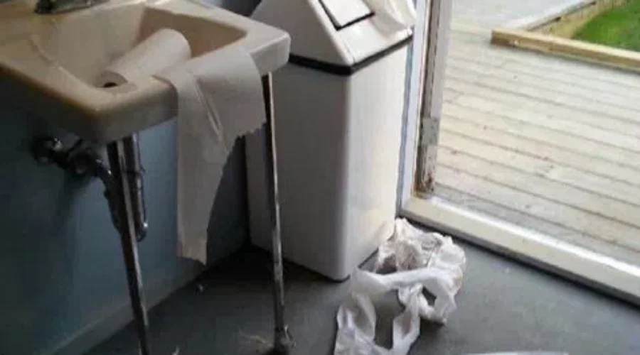 Shelburne’s Mayor “Disgusted” With Recent Vandalism