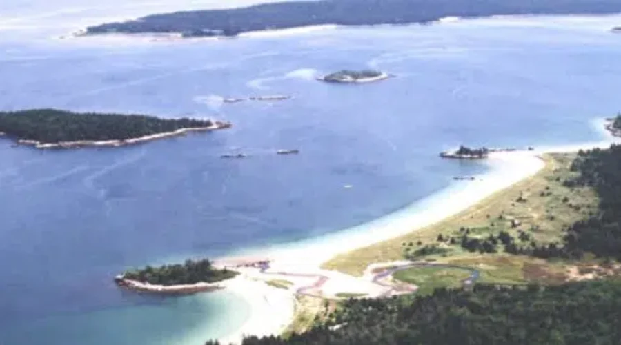 Information Session Focusing on Carters Beach, Spectacle Island