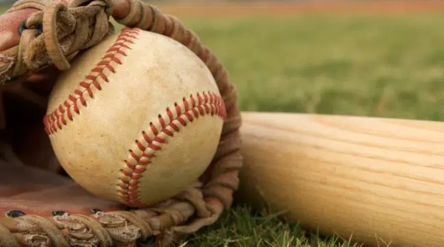 Foggies Capture Peewee ‘AA’ Provincial Baseball Title