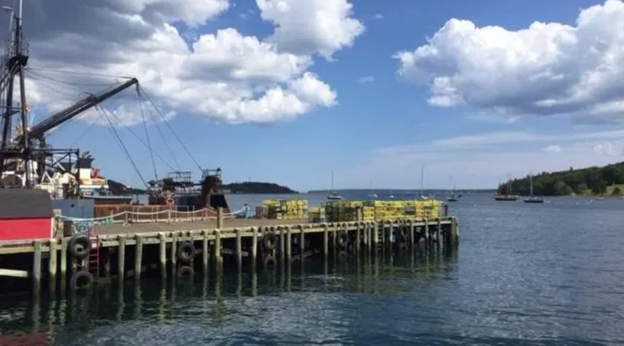 Lunenburg: Independent Water Test Disputes Stella Bowles’ Results