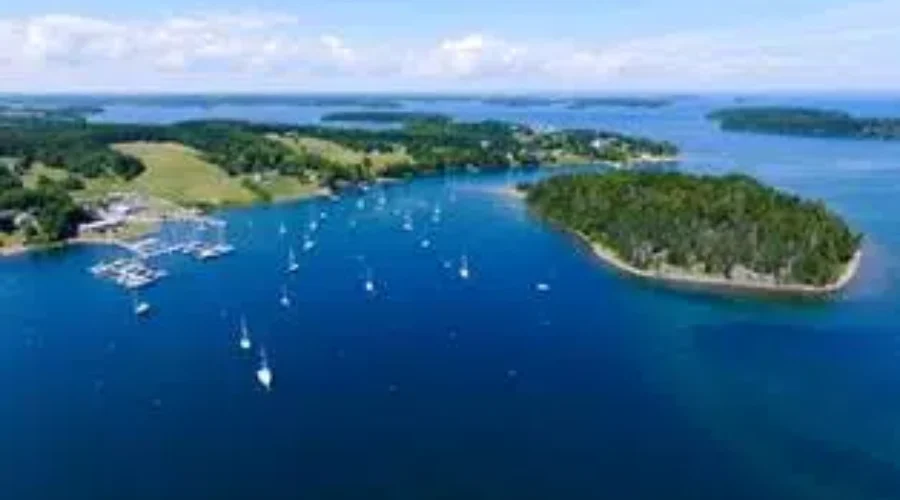 Lunenburg Yacht Club Gets Federal Support For Infrastructure Upgrades