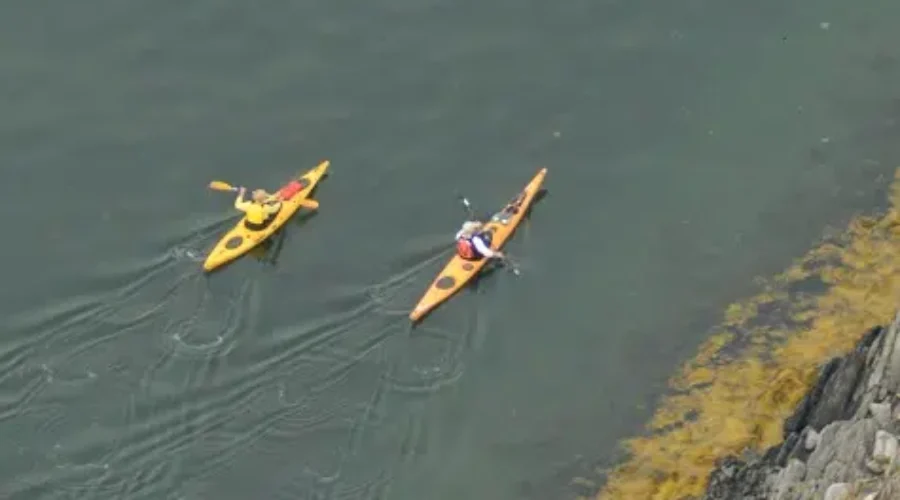 Kayakers Answer The Challenge For Charity
