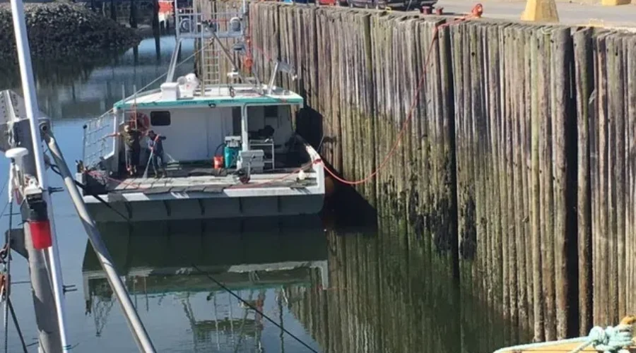 Lobster Buyers Coalition Wants Feds To Permit Them To Make Loans To Fishermen