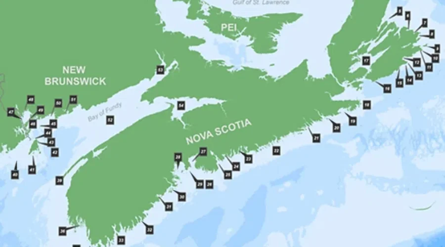 President Of Lobster Fishermen’s Group Says They Feel Left Out As MP’s Study Marine Protected Areas