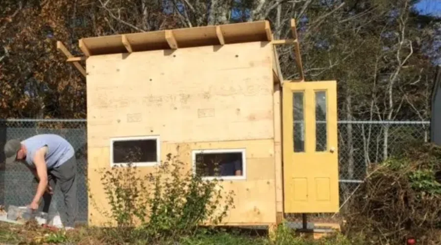 Petite Riviere Elementary Not Ready To Fly The Coop