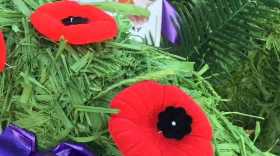 Time to Pin Your Poppy