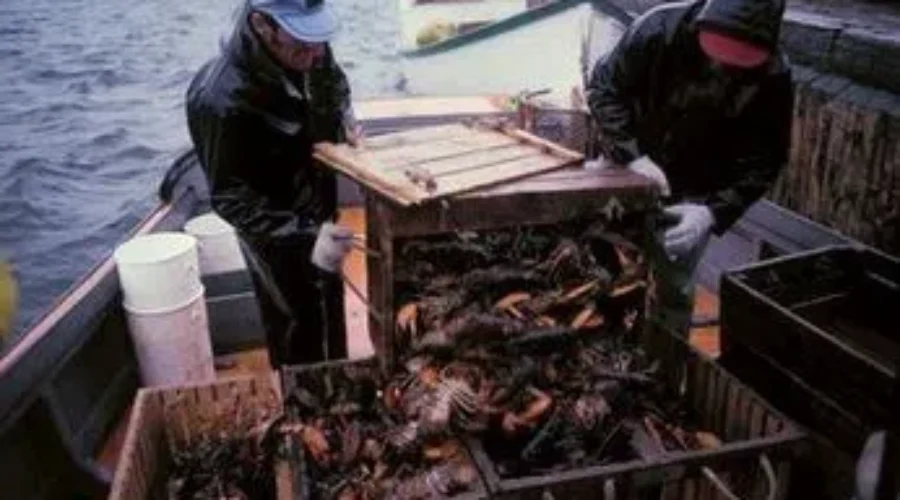 Safety Of Fisherman Is Main Focus At Start Of 2017 Lobster Fishing Season