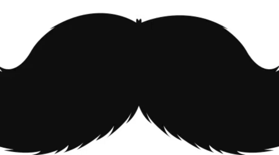 The Movember Moustache