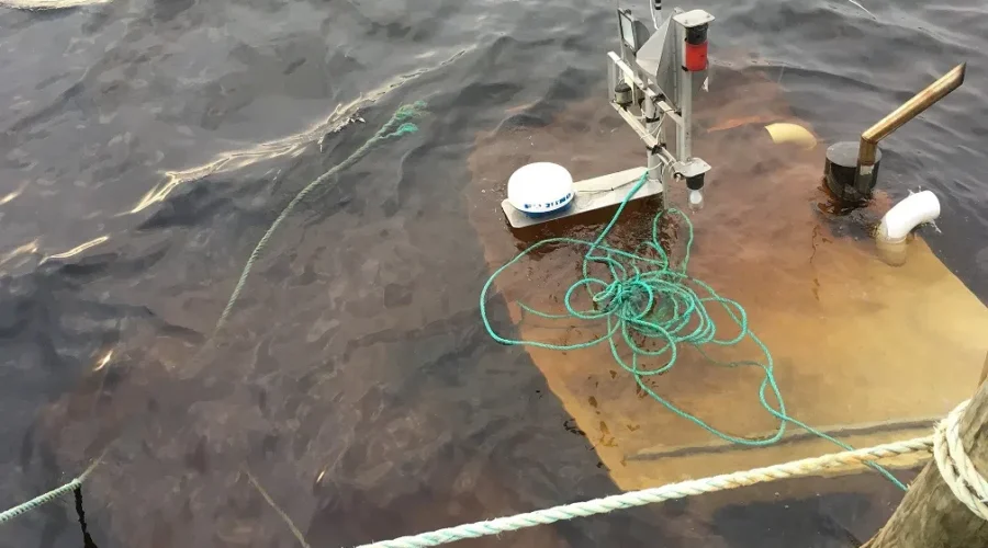 Fish Farm Boat Sinks Off Brooklyn Wharf