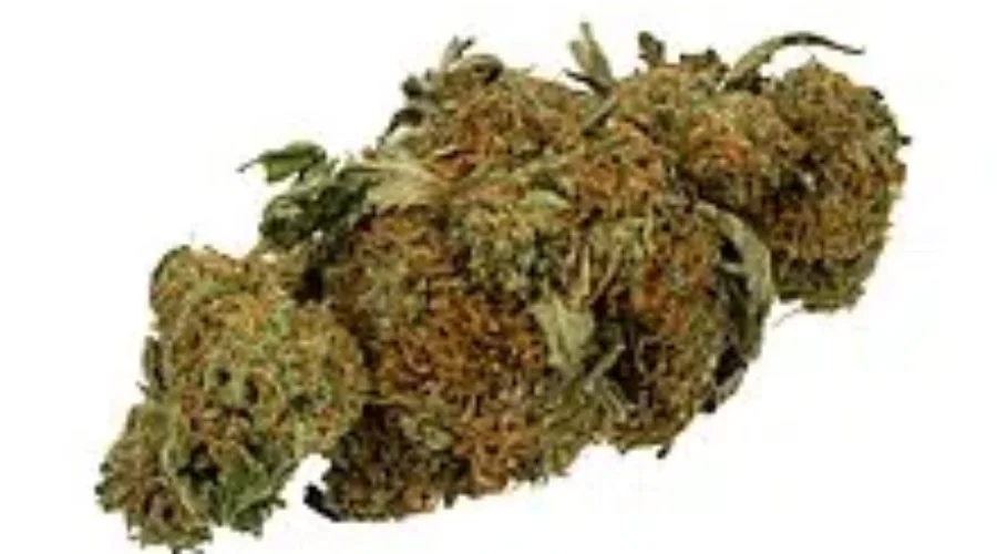 NSLC To Sell Cannabis In March Says Province