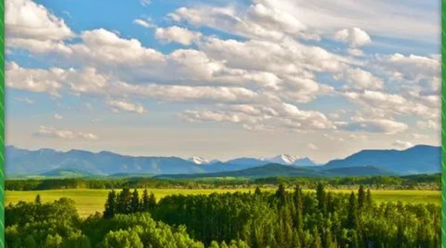 Nature Conservancy Of Canada Has Great Unique Gift Suggestions