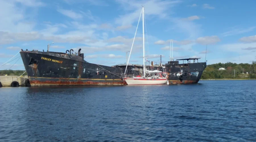 Owner Of Farley Mowatt Ordered To Pay Town Of Shelburne Over $143,000