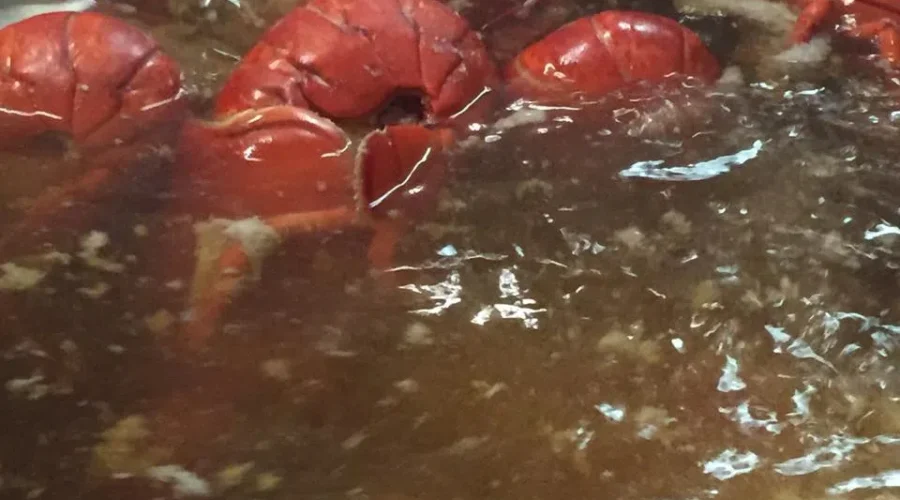 Liverpool Brewery Brewing Up Lobster Suds