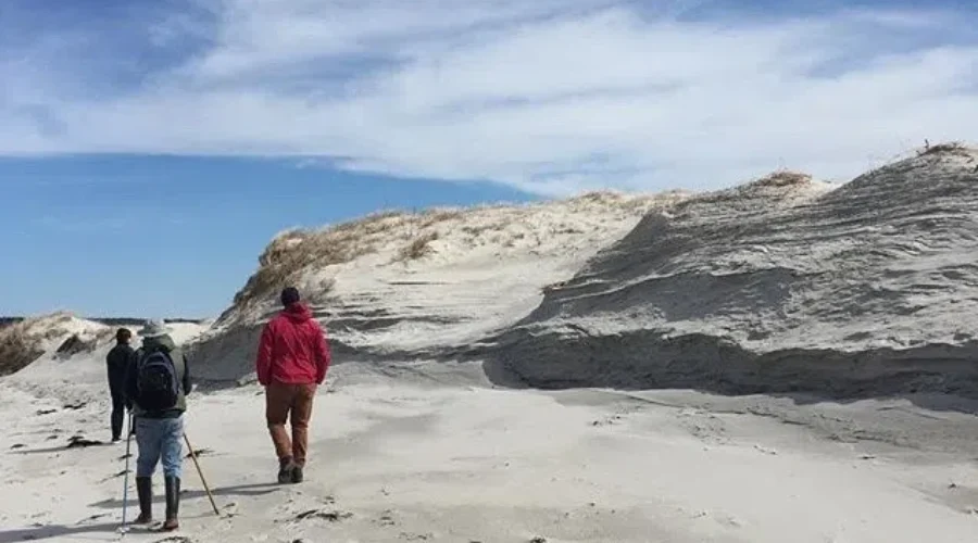 Community Leads Way On Restoring Dunes At Carter’s Beach