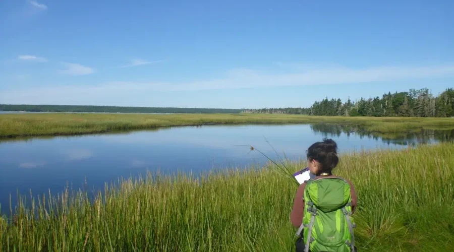 Donation Secures Habitat For Migratory Birds In Queens