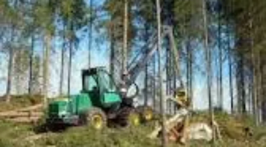 Biologist Says Communities Should Have More Say In Forest Management