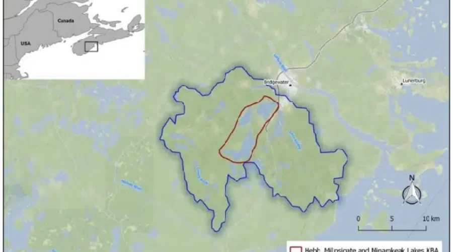 Petite Riviere Watershed Identified As Key Biodiversity Area