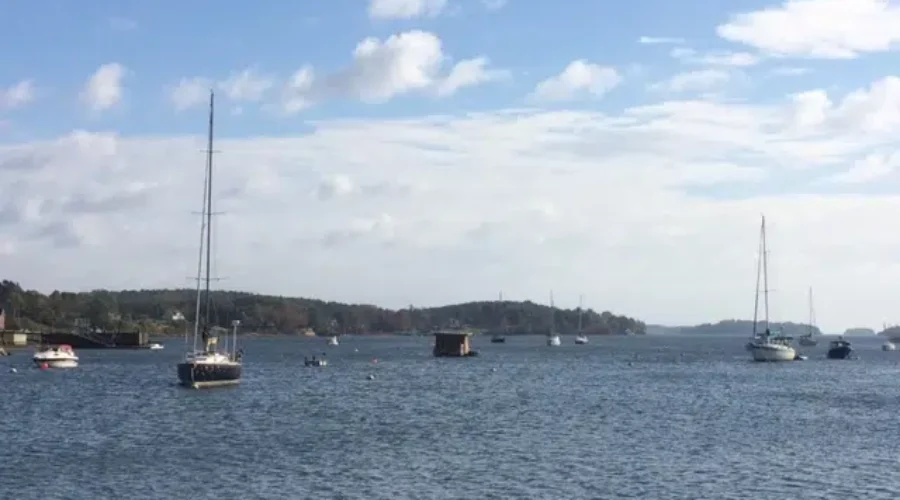 Province Looks To Legislate Protective Measures For Coastline
