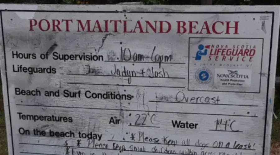 Beach Closed After Unwelcome Visitor Spotted