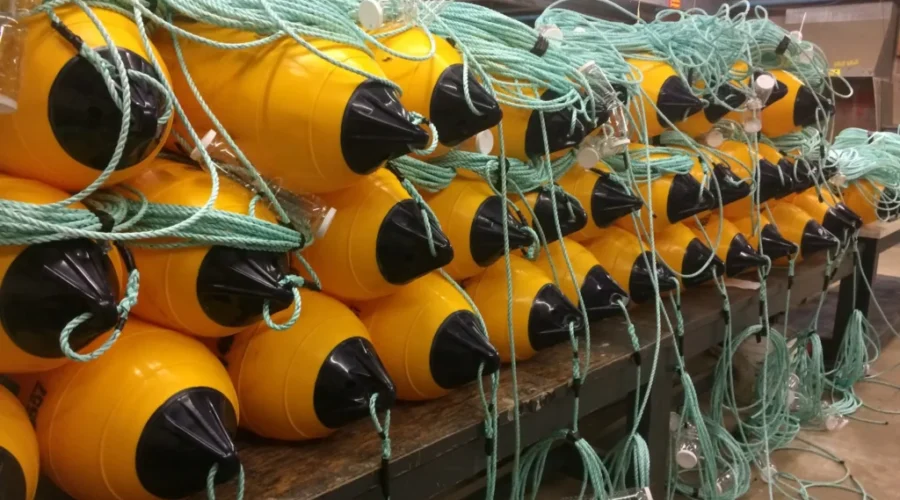 Dalhousie Student Trying New Water Monitoring System In Liverpool