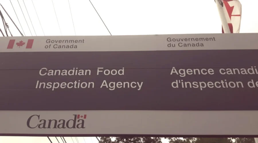 CFIA Oyster Recall Due to Salmonella