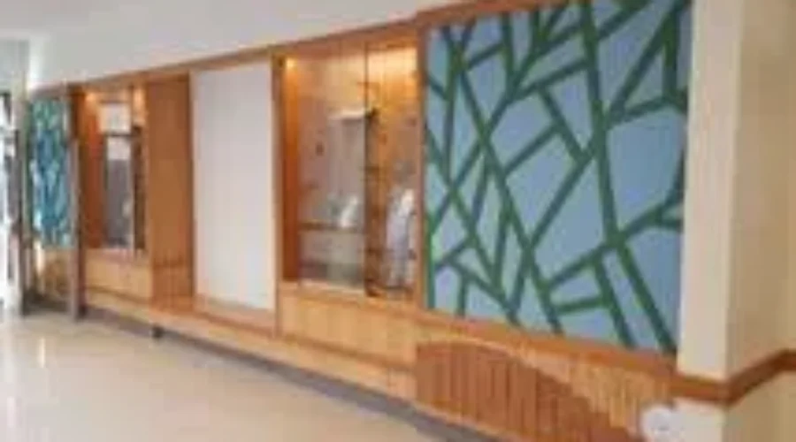 ACOA Loan Helps Modernize Lunenburg’s Nova Wood Products