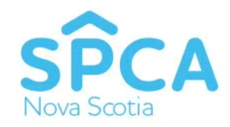 Nova Scotia SPCA Seeking Information After Cat Shot