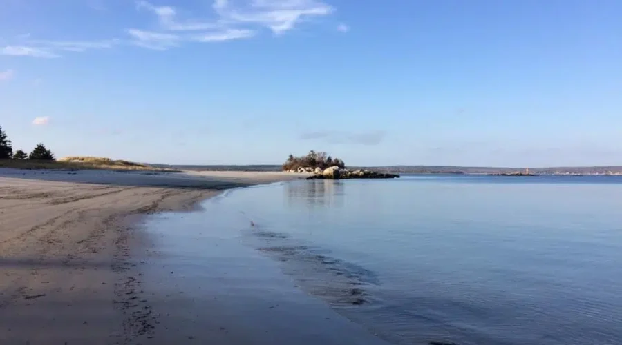 Volunteers Cleaning Up Carter’s Beach This Weekend