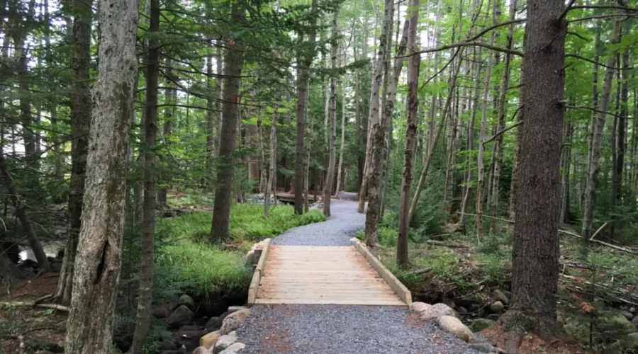 Glen Allan Park Trail Officially Opening
