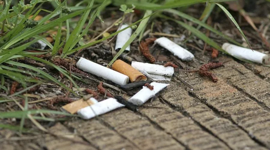 Enforcing Smoke-Free Policy At NS Hospitals A Challenge: Health Authority