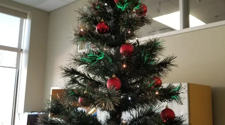 Don’t Blame Insurance Companies For Fake Office Trees