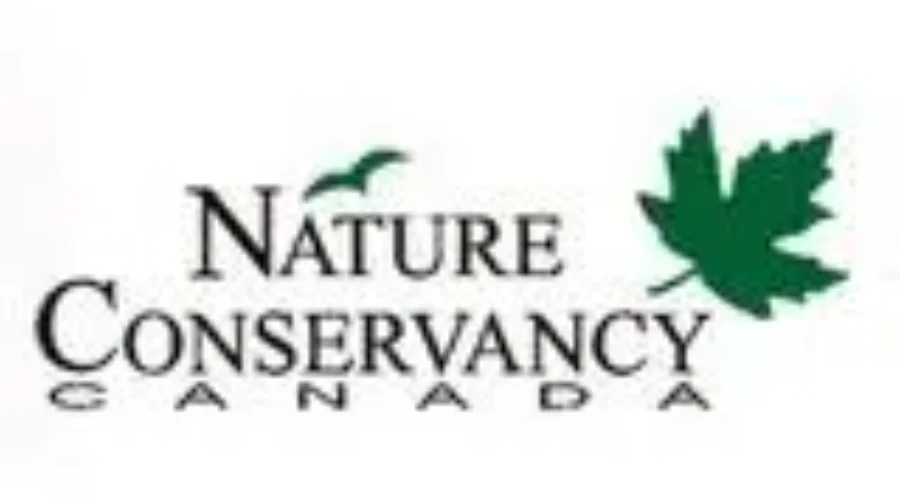 NCC Offers Alternative Christmas Gift Ideas