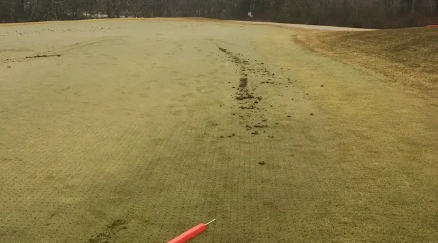 Damage to Aspotogan Golf Club “Disappointing”: Director