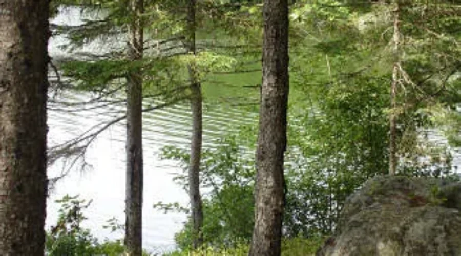 DNR Reminds People to Stay Safe During Wildfire Season