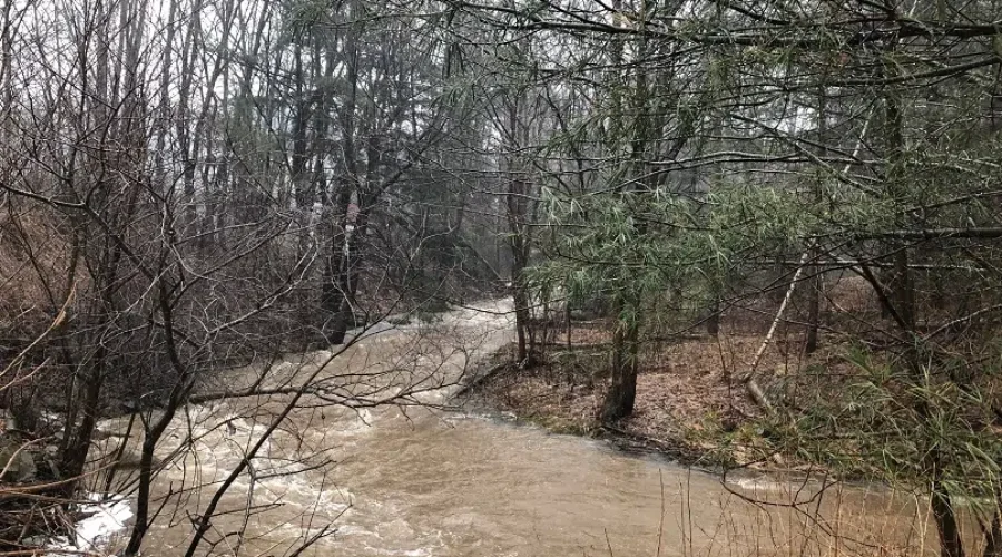 Silt Run-Off Threatening Fish In LaHave River