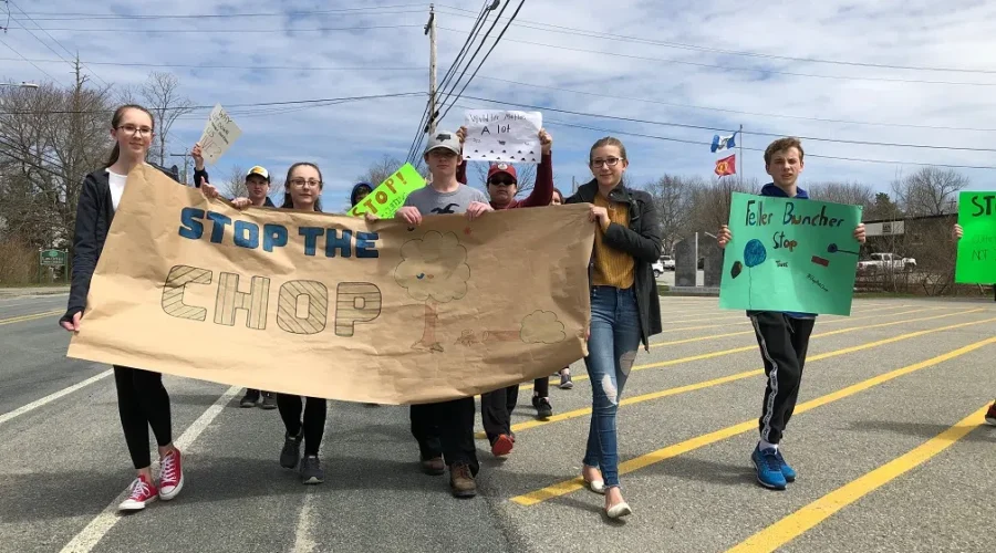Shelburne Students March To Protest Clearcutting