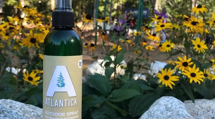 AtlanTICK Grateful For NSBI Award Nomination