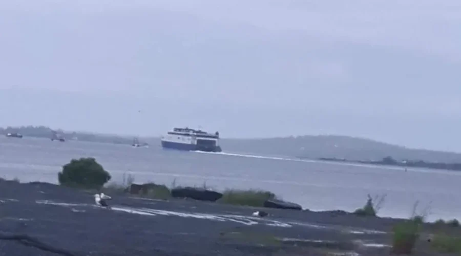 Cat Ferry On The Move