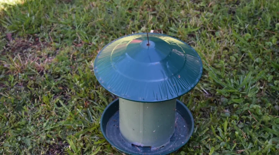 Put Your Bird Feeders Away