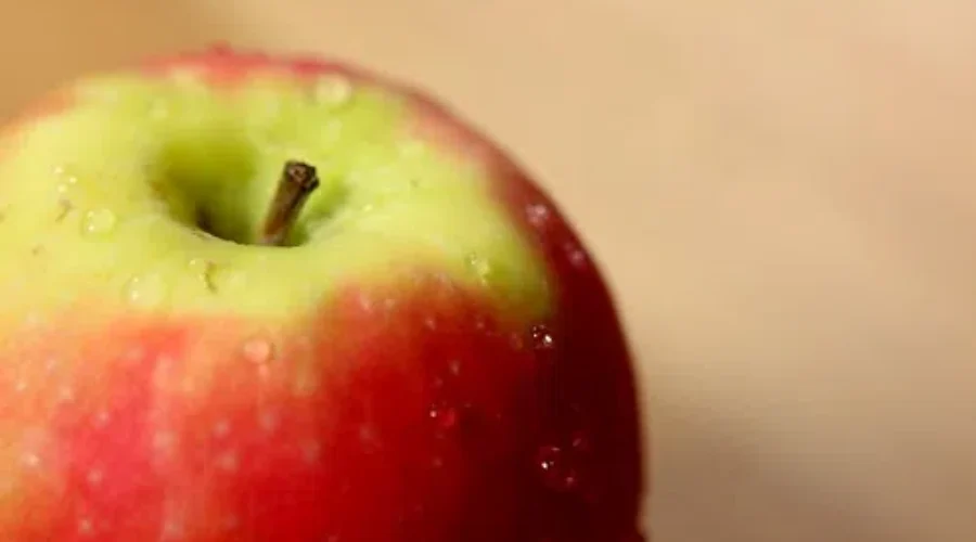 Are These Littering In Your Mind?