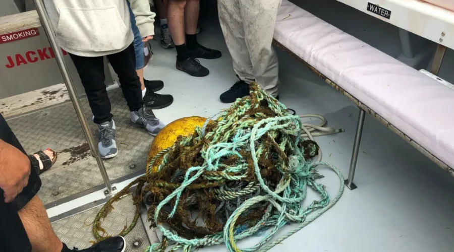 VIDEO: Lunenburg Vessel Helps Rescue Humpback Whale