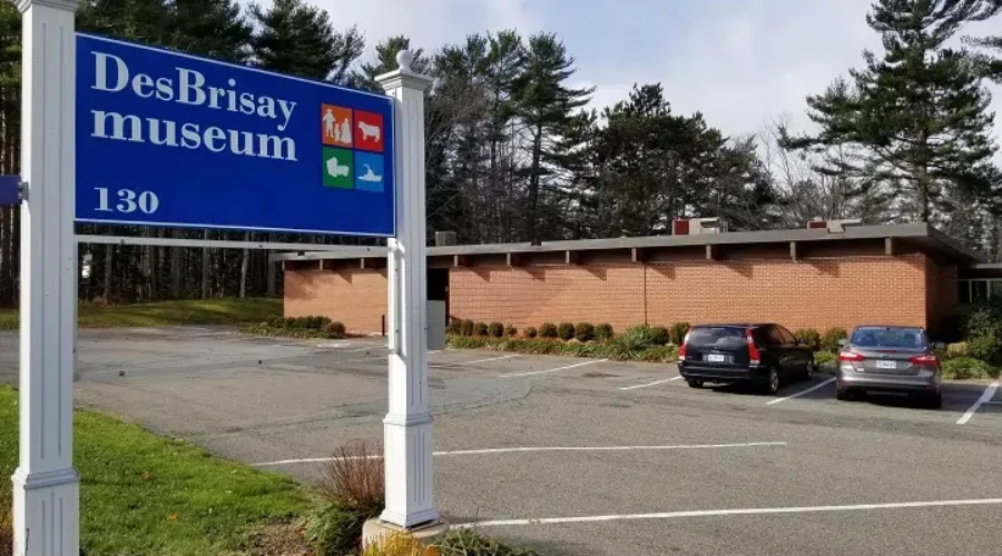 New Exhibit To Showcase Unique Local Art At DesBrisay Museum