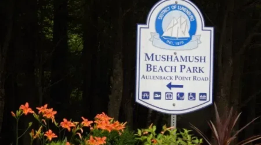 Cases of Swimmers Itch Confirmed at Mushamush Beach Park